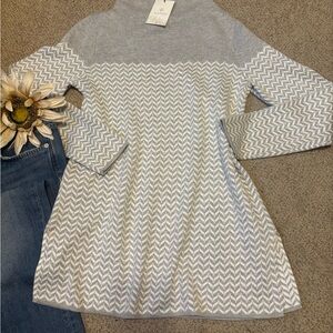 🆕Bnwt Aspen Gray and White Chevron Sweater Dress